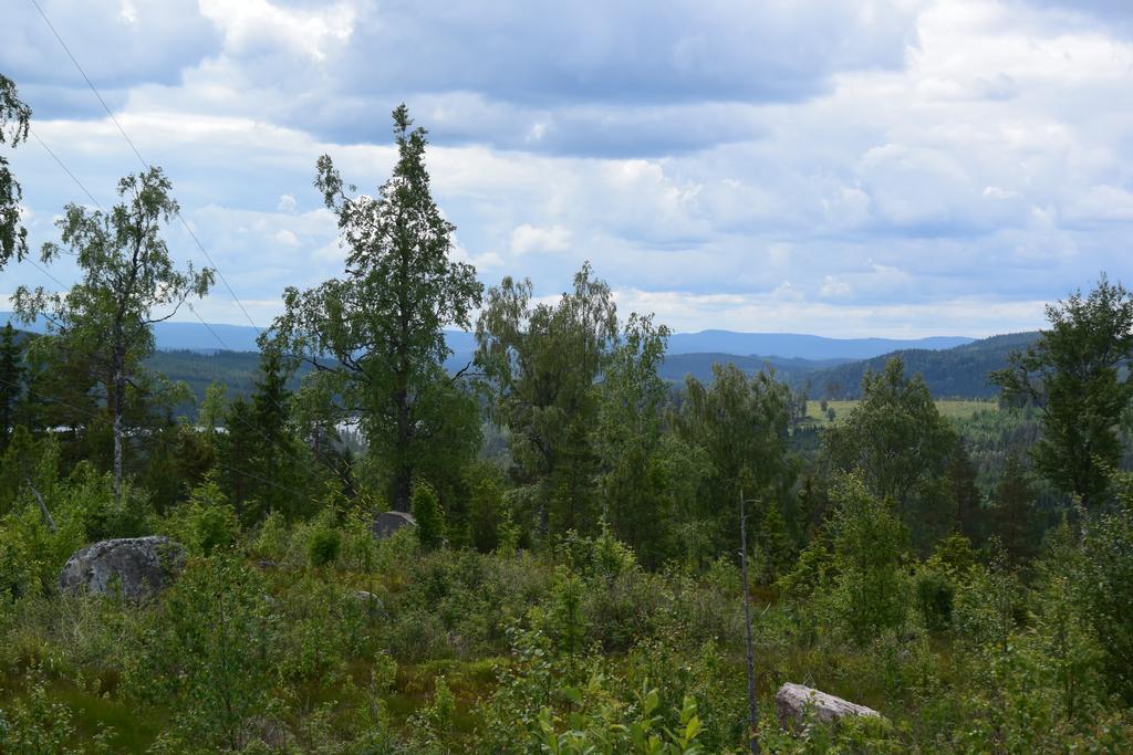 Mieps Huset Dalarna Holiday Kullen  Exterior photo